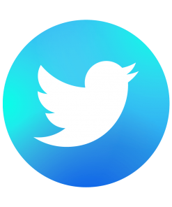 Twitter-Sublimes Information Technology-digital-marketing-agency-in-dubai-web-design